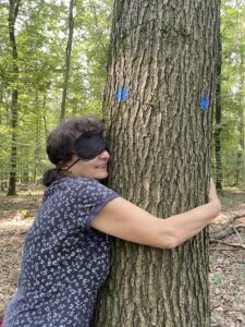 Fünf einfache Tipps zum Waldbaden