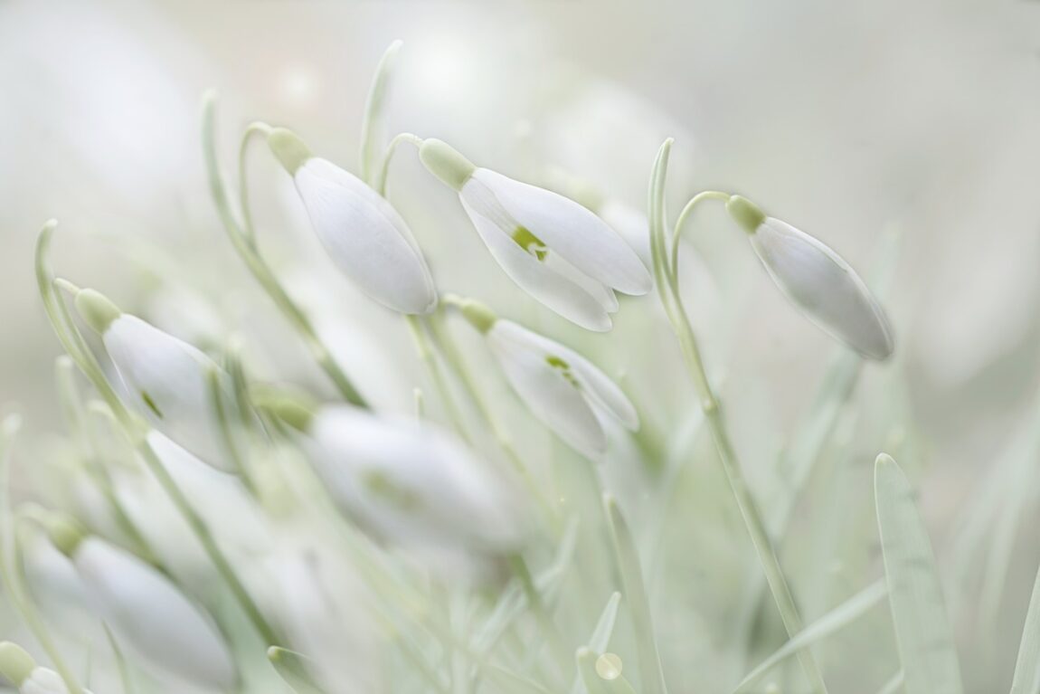 Frühlingsgefühle liegen in der Luft