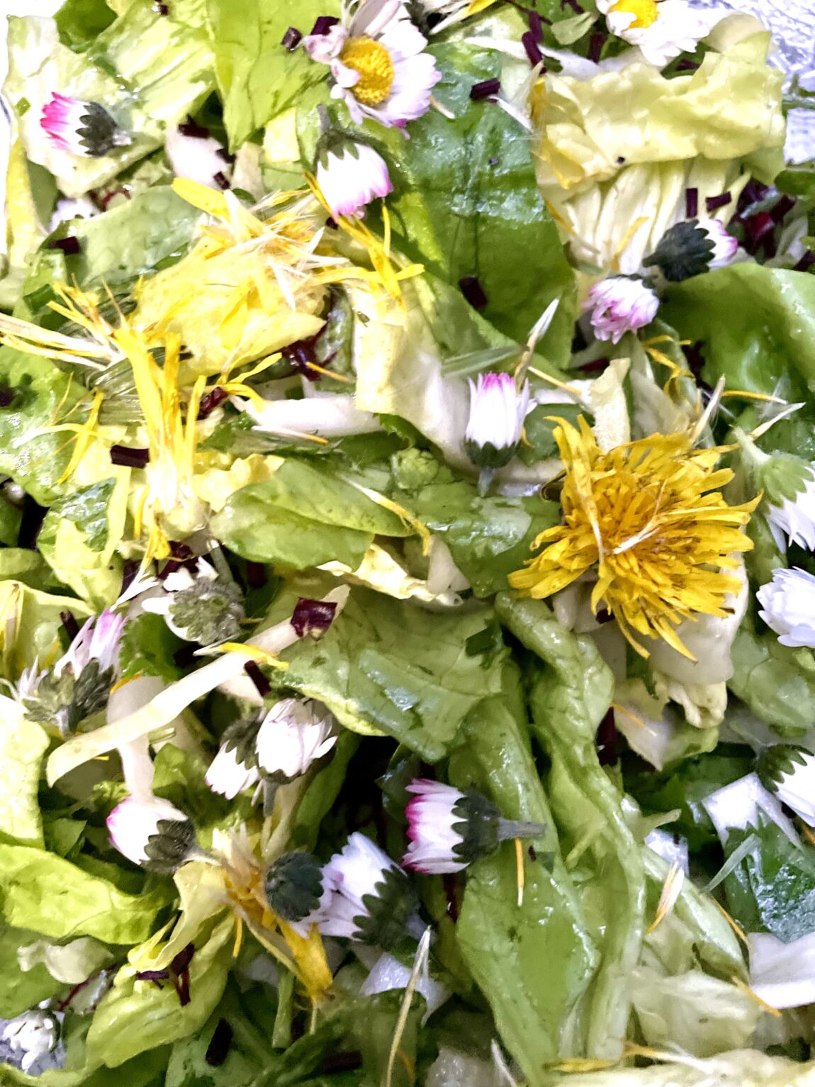 Kreative Rezepte mit Wildkräutern