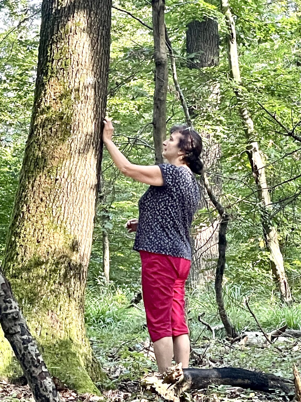 Waldbaden After Work in 6 Schritten