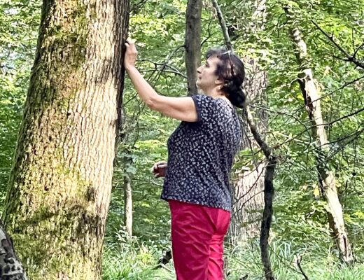 Waldbaden After Work in 6 Schritten